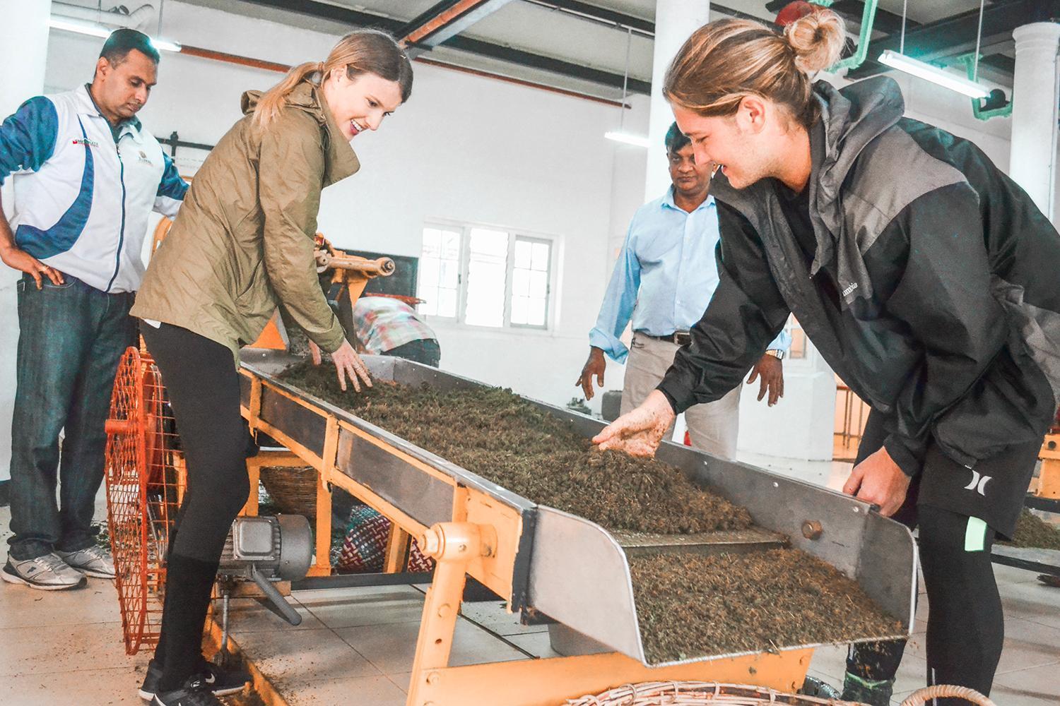 Tea And Experience Factory - Thema Collection Hotel Mandaran Newara Kültér fotó